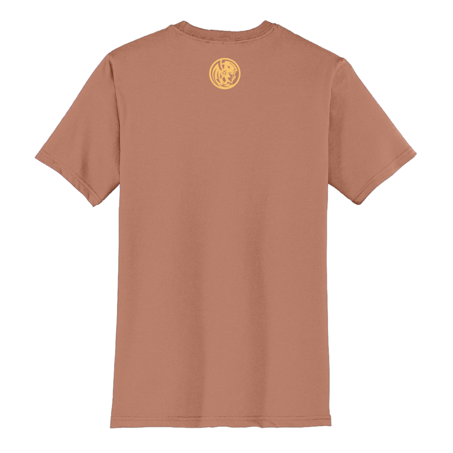 Orlando Valkyries Growing Women's Sports Together T-Shirt