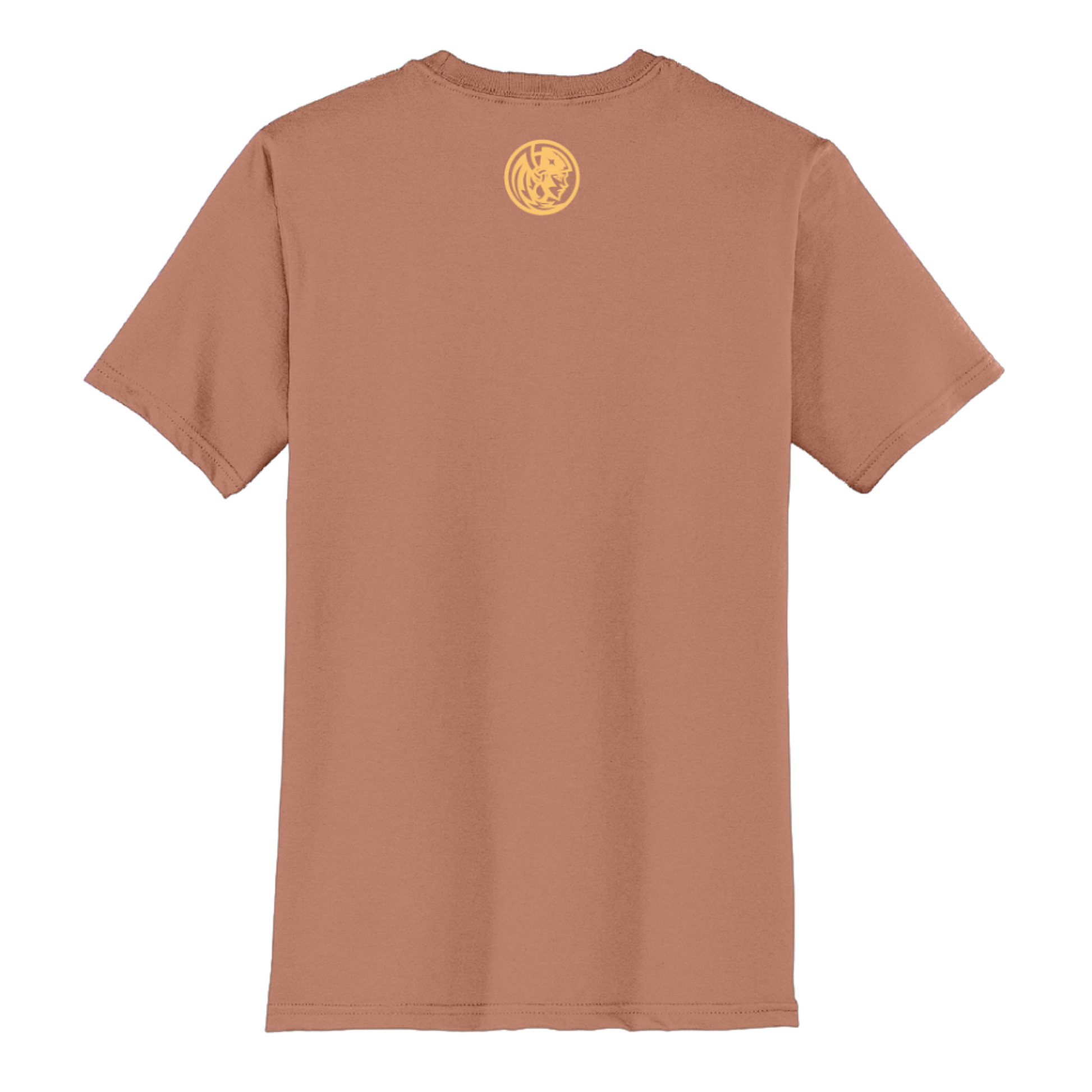 Orlando Valkyries Growing Women's Sports Together T-Shirt